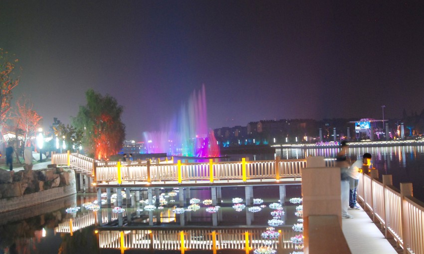 DSC_8475_conew1.JPG
