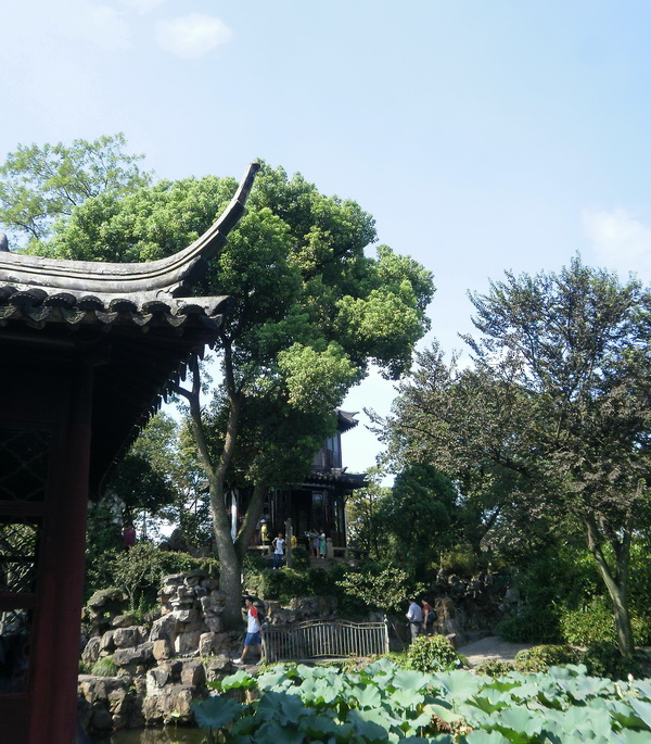 P8260191.jpg