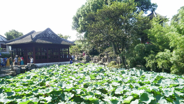 P8260189.jpg